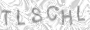 Captcha Security System